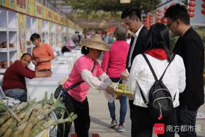 很土又很潮！首届广州农业(南沙)嘉年华展示现代种业科技新成就