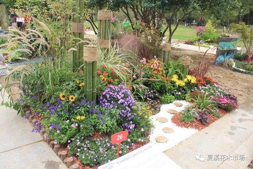 2020年 泰园杯 江苏省园林绿化行业花卉工职业技能竞赛参赛作品来啦