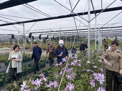 瓯海区组织花卉企业共赴“花会”交流，助力产业技术提升与发展